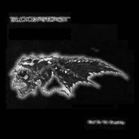 Bloodthirst (PL) : End is the Beginning